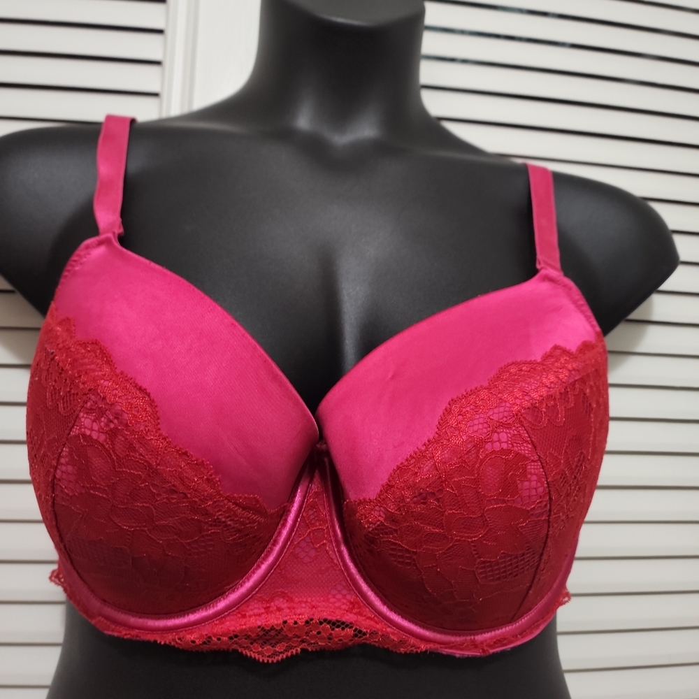 Cacique Bra - Picture 1 of 5